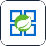 Azure Spring Apps